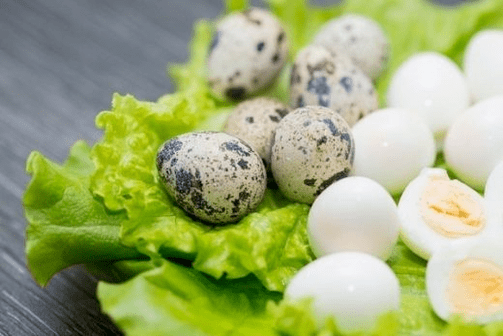 Effects of quail eggs