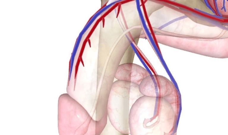 Poor blood supply to the penis